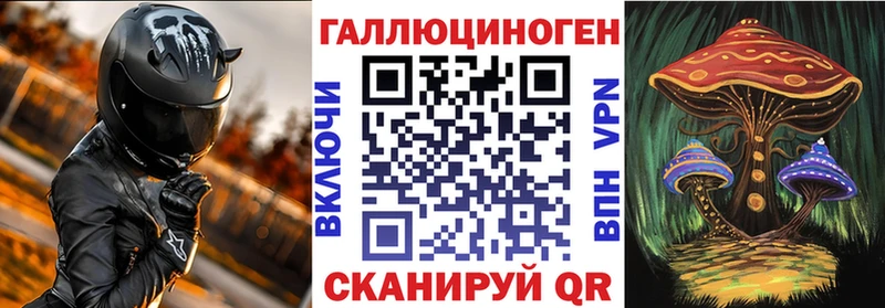 купить   Краснознаменск  Галлюциногенные грибы мицелий 
